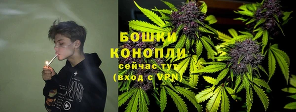 прущий лед Верея