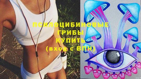 прущий лед Верея