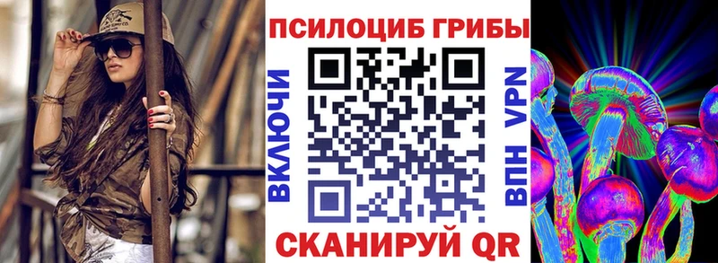 где купить наркоту  Вятские Поляны  Псилоцибиновые грибы Cubensis 